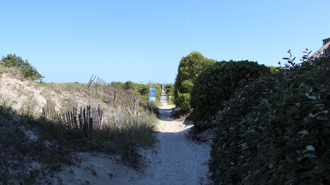 Photo of Others in Sea Trail