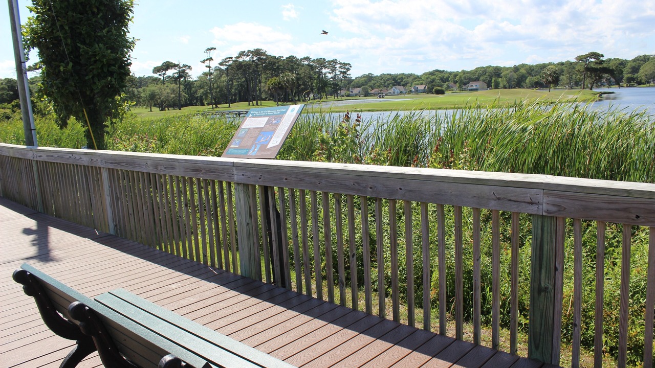 Photo of Others in Sea Trail