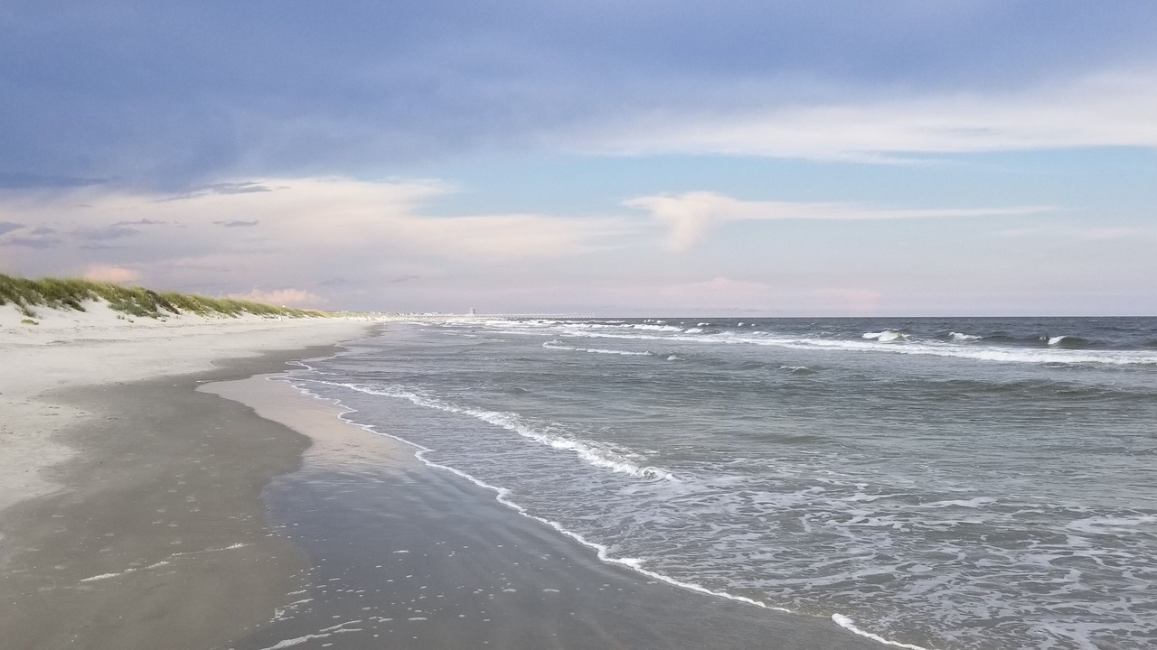 Photo of Others in Sea Trail