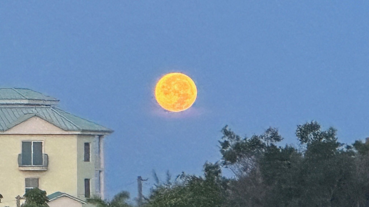 Photo of Others in Capri Isle