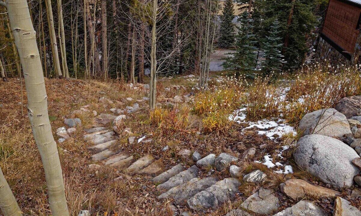 Photo of Outdoor in Warrior's Mark