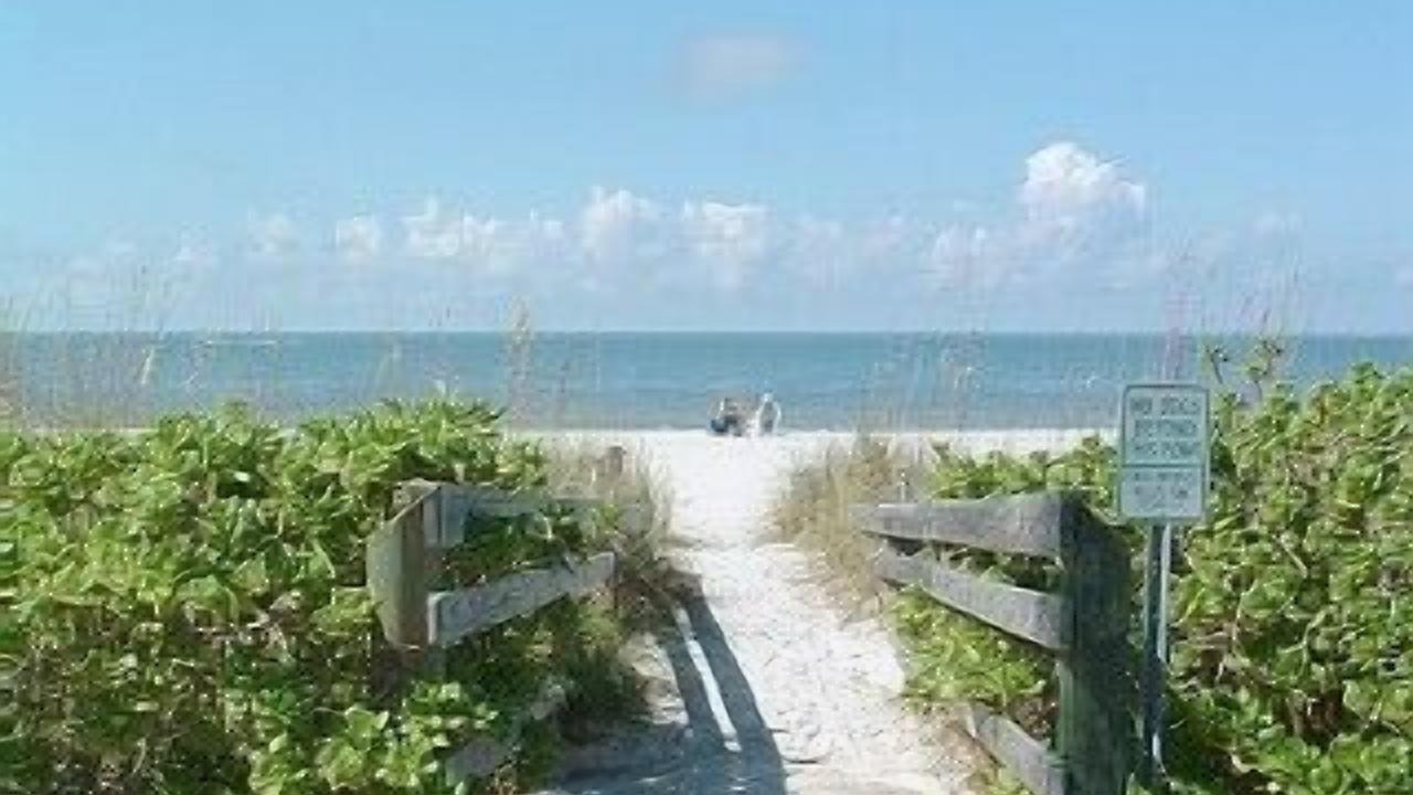 Photo of Others in Indian Rocks Beach