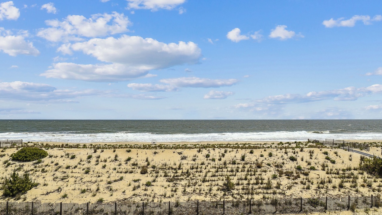 Photo of Others in South Bethany