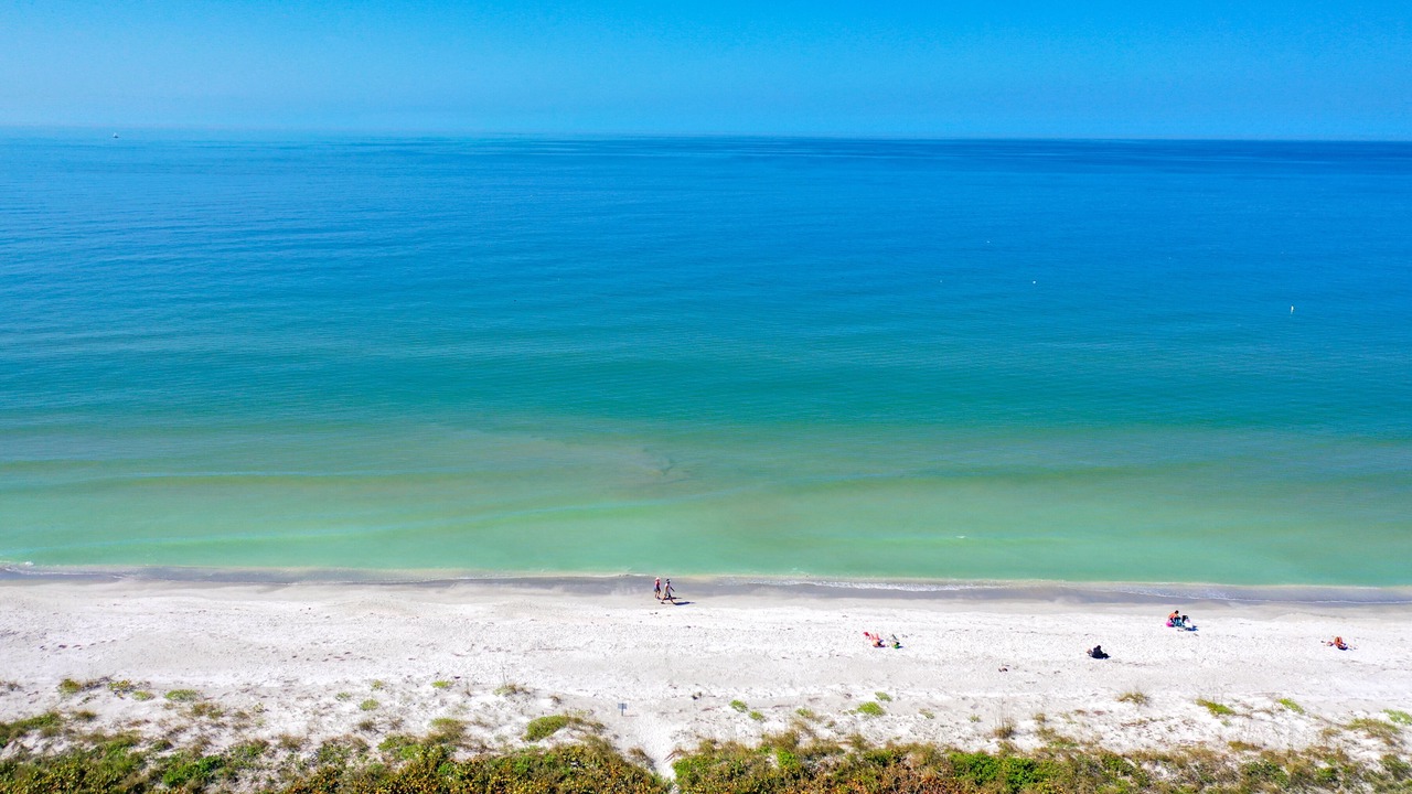 Photo of Others in Belleair Beach