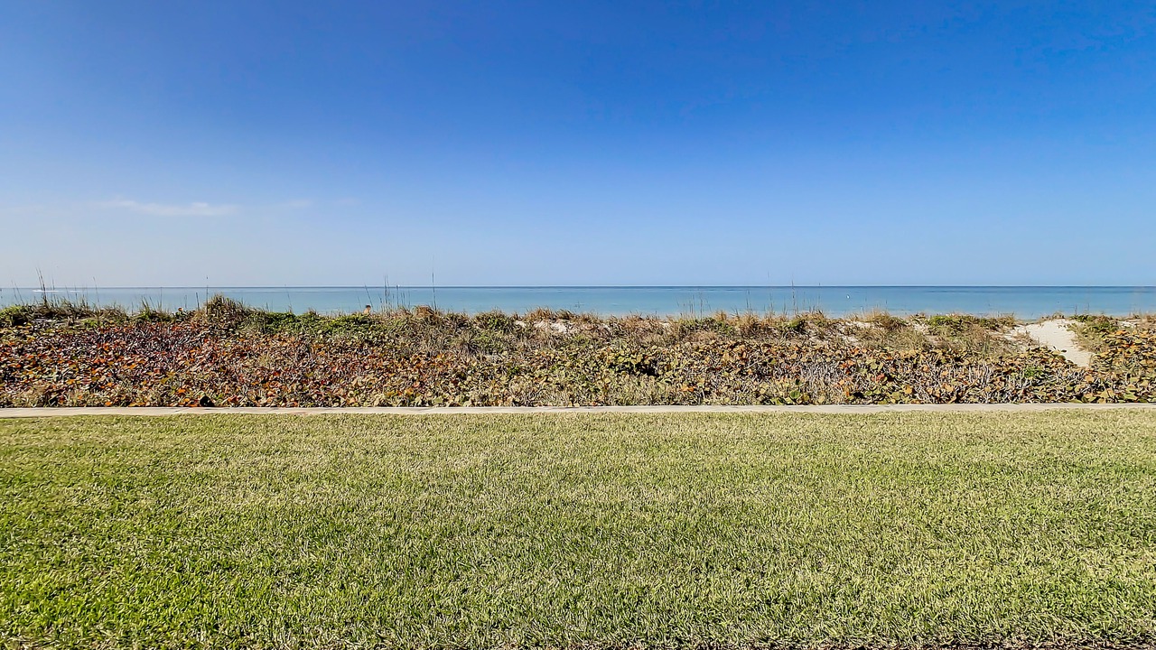 Photo of Outdoor in Belleair Beach