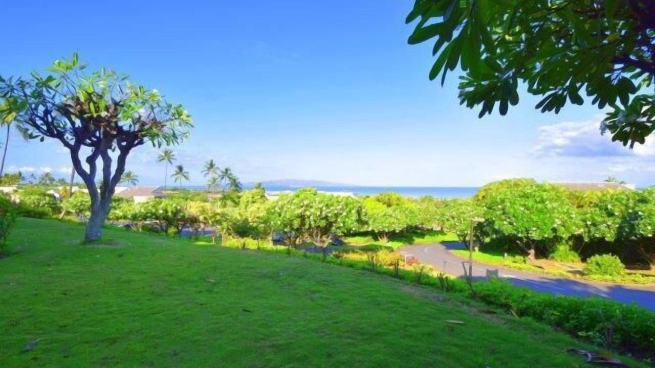 Photo of Outdoor in Wailea