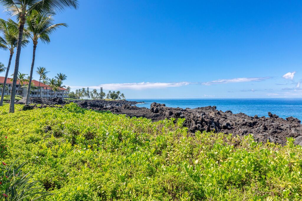 Photo of Others in Kahaluu-Keauhou