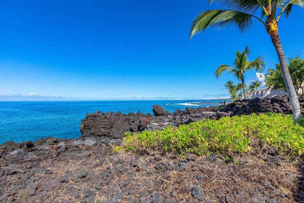 Photo of Others in Kahaluu-Keauhou