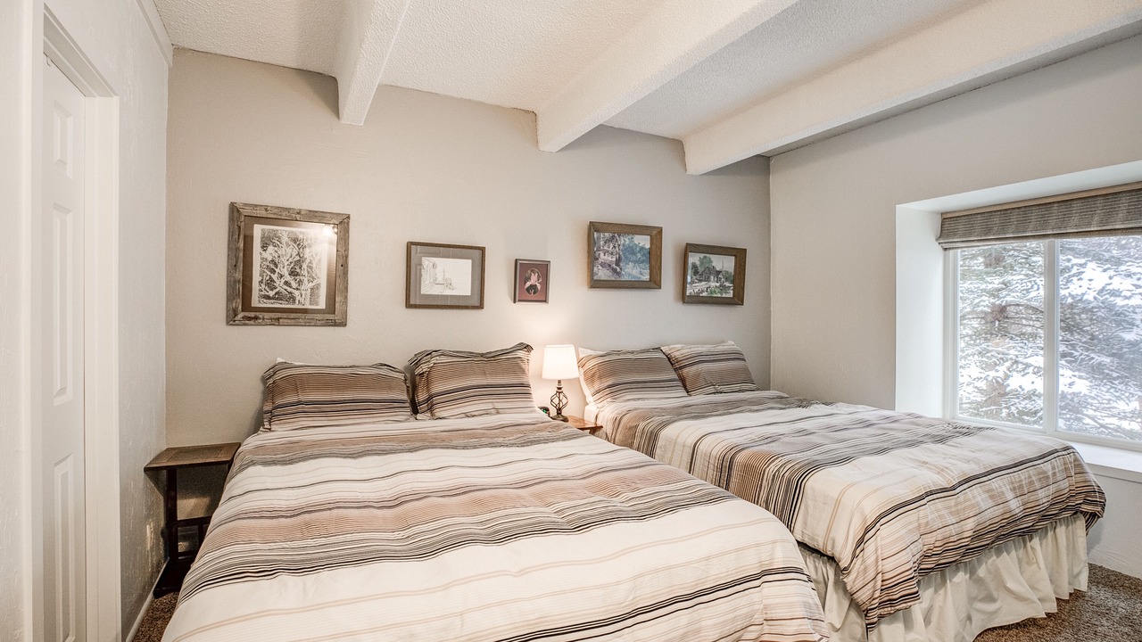 Photo of Bedroom in Warrior's Mark