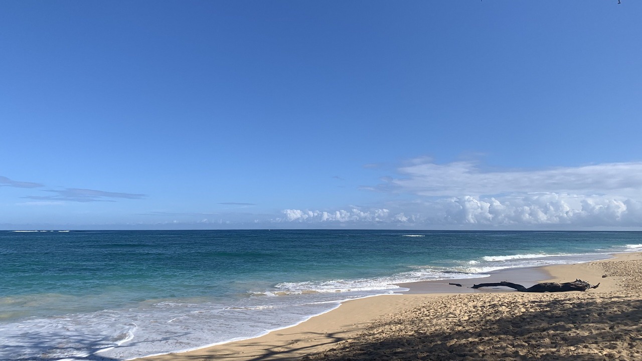 Photo of Others in Pukalani