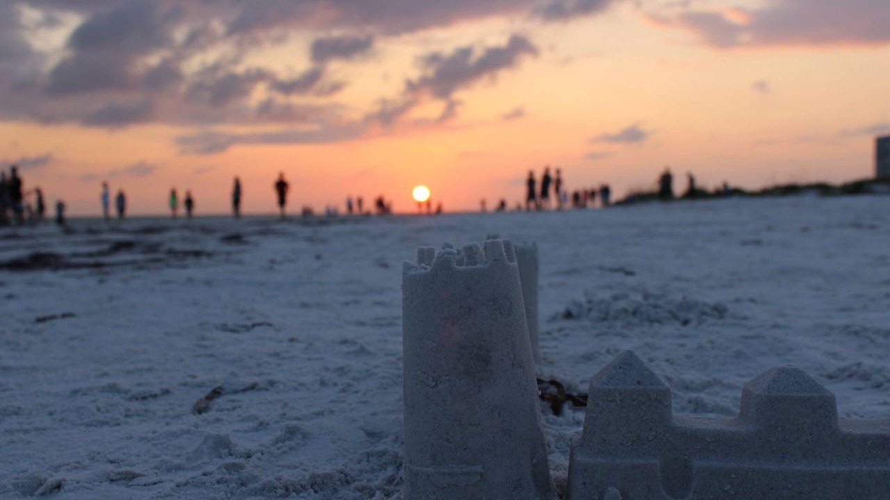 Photo of Others in Siesta Key