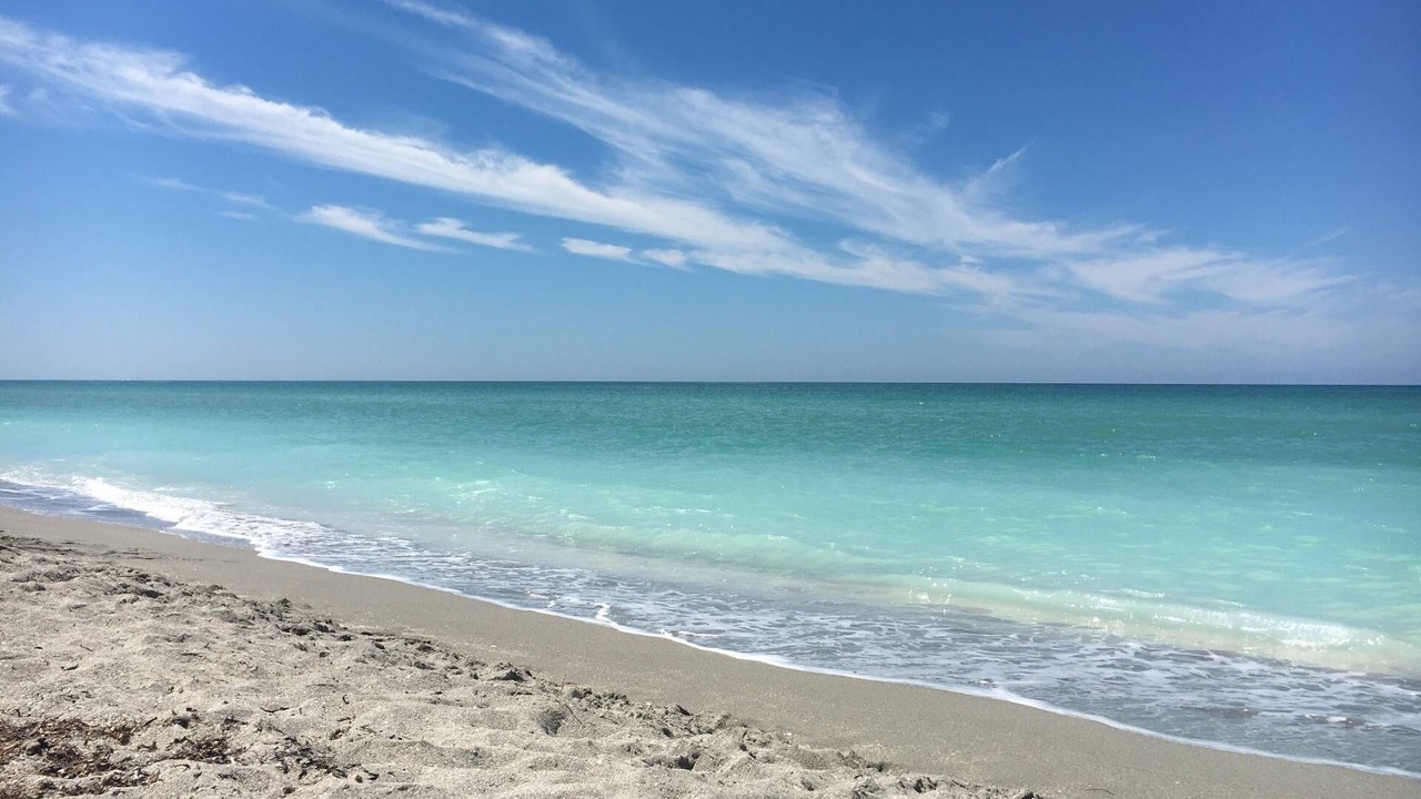 Photo of Others in Siesta Key