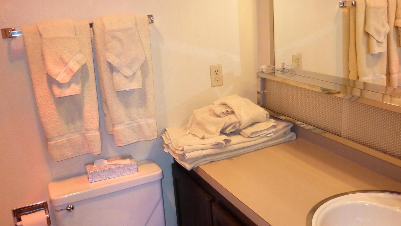 Photo of Bathroom in Peak 8