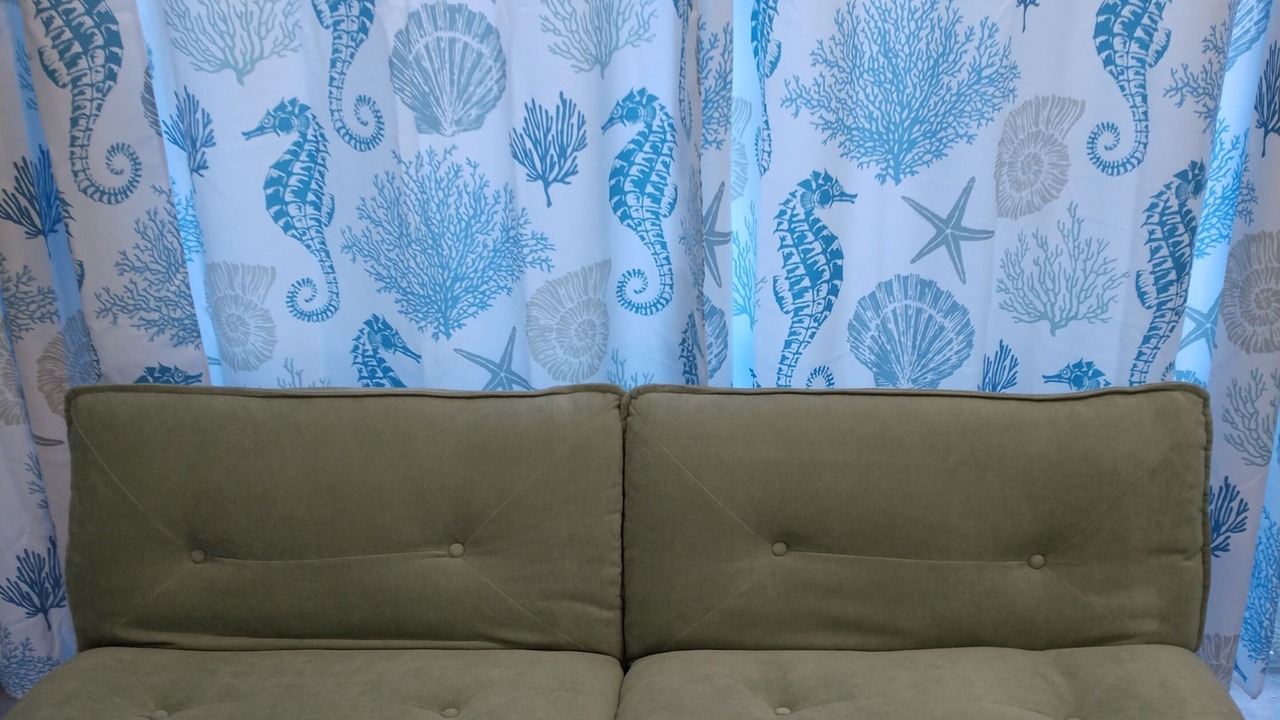 Photo of Others in Indian Shores