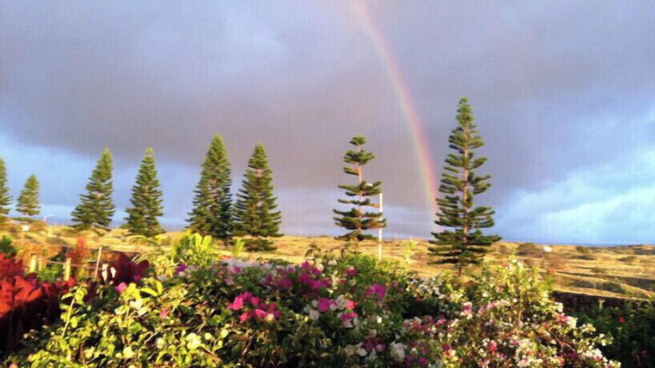 Photo of Others in Waikoloa Village