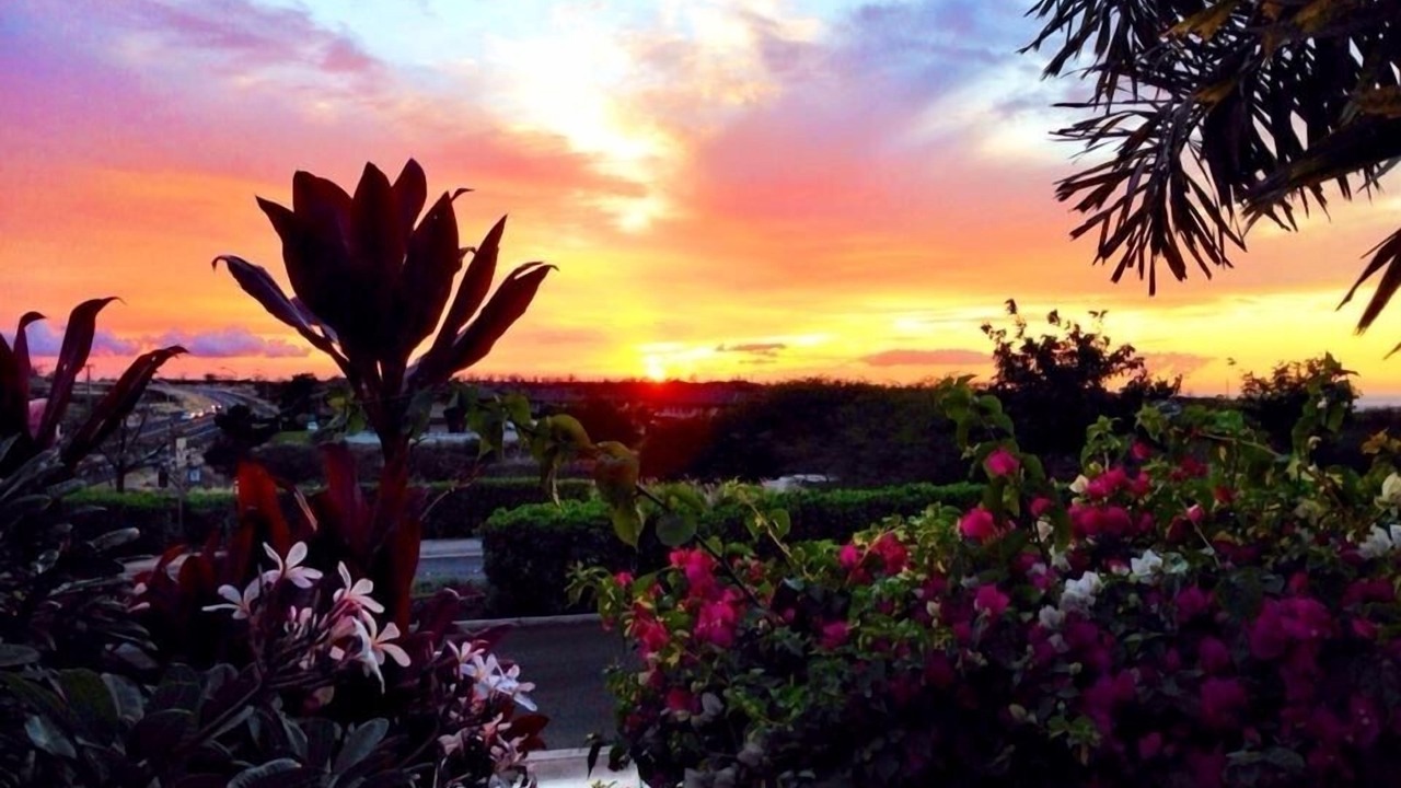 Photo of Others in Waikoloa Village