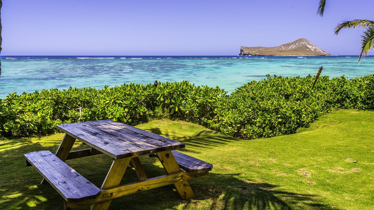 Photo of Others in Waimanalo Beach