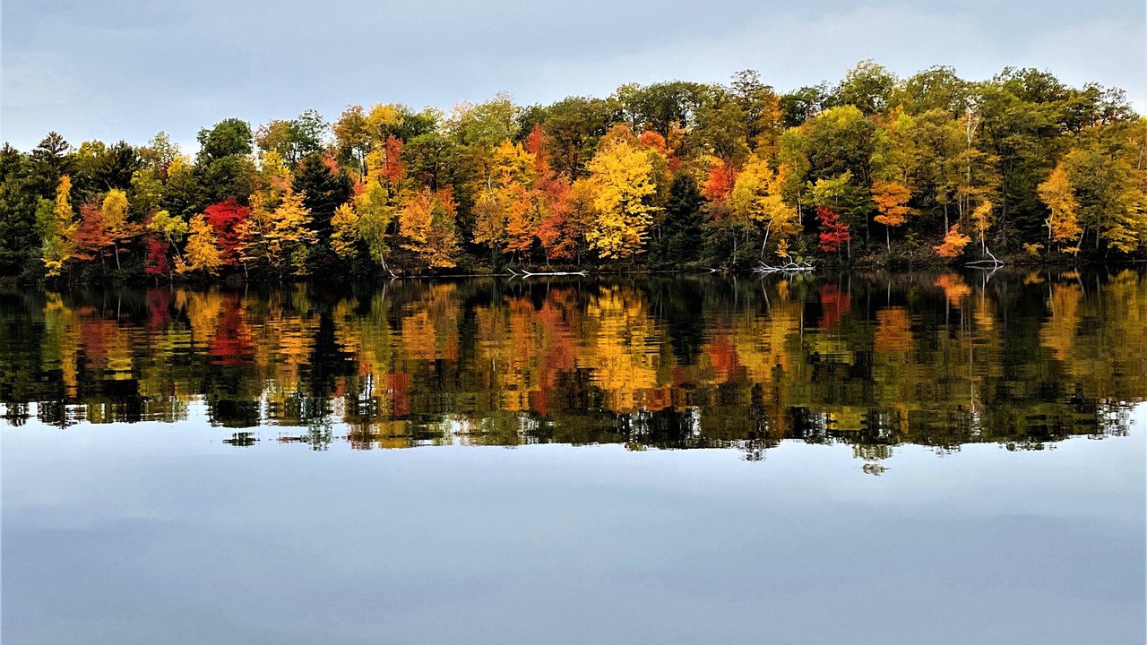 Photo of Outdoor in Stone Lake
