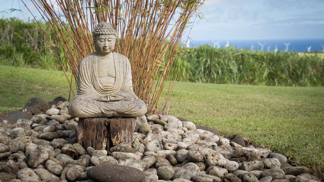 Photo of Outdoor in Hawi