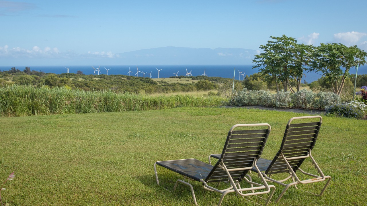 Photo of Others in Hawi