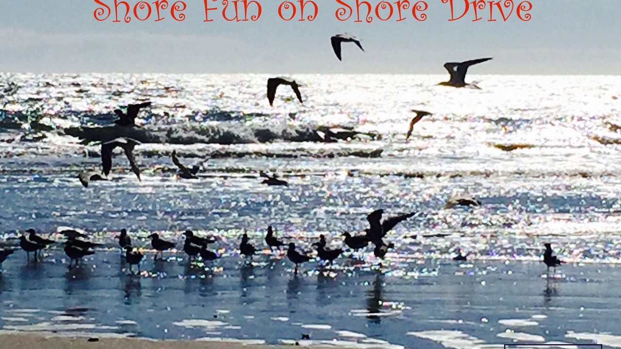 Photo of Others in Myrtle Beach