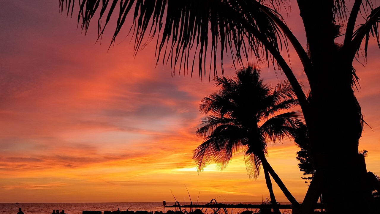 Photo of Others in St. Pete Beach