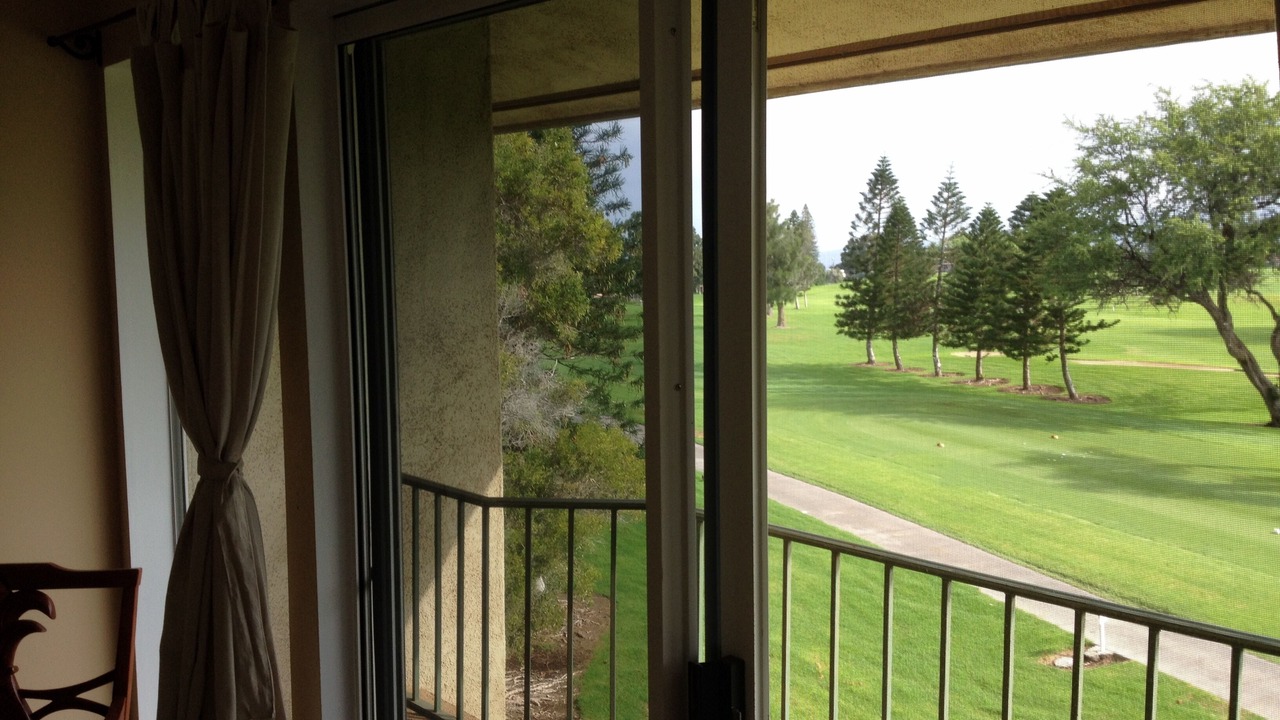 Photo of Others in Waikoloa Village