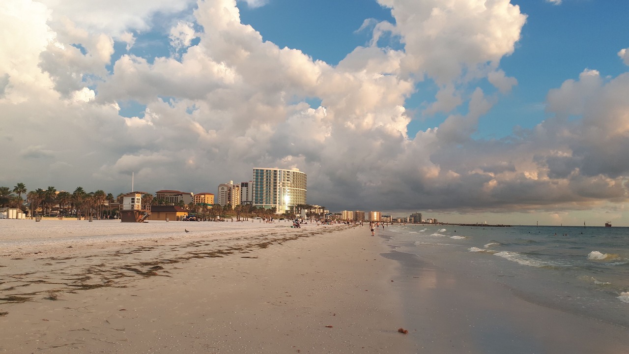 Photo of Others in Clearwater