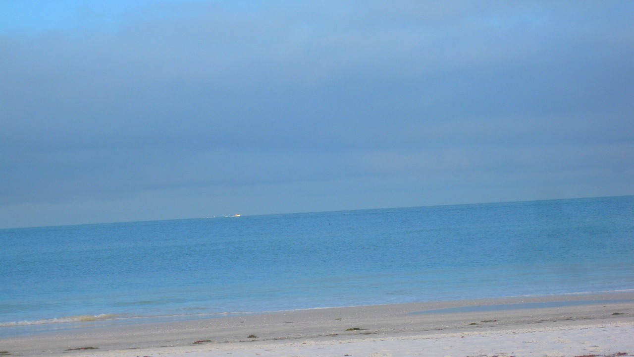 Photo of Others in Clearwater
