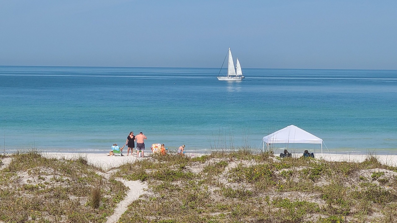 Photo of Others in Indian Rocks Beach