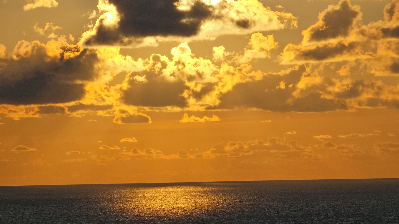 Photo of Others in Indian Rocks Beach