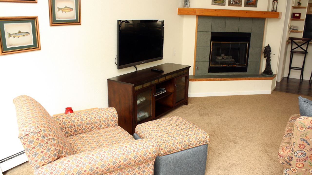 Photo of Livingroom in Warrior's Mark
