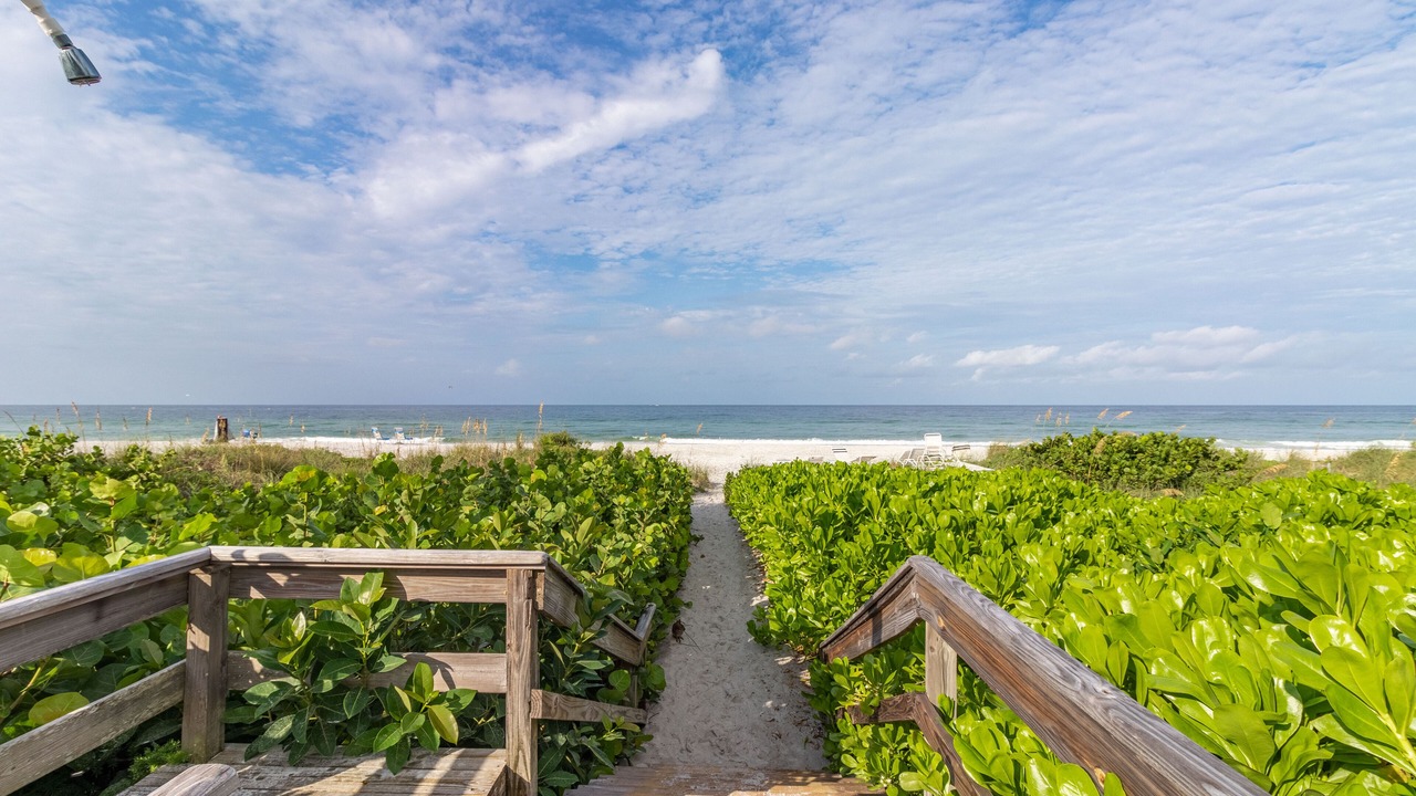 Photo of Others in Longboat Key