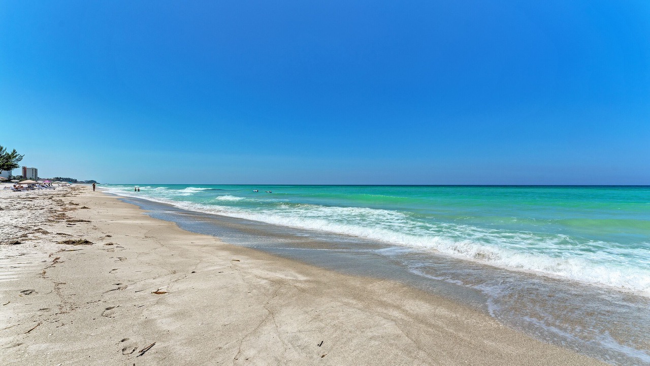 Photo of Others in Longboat Key