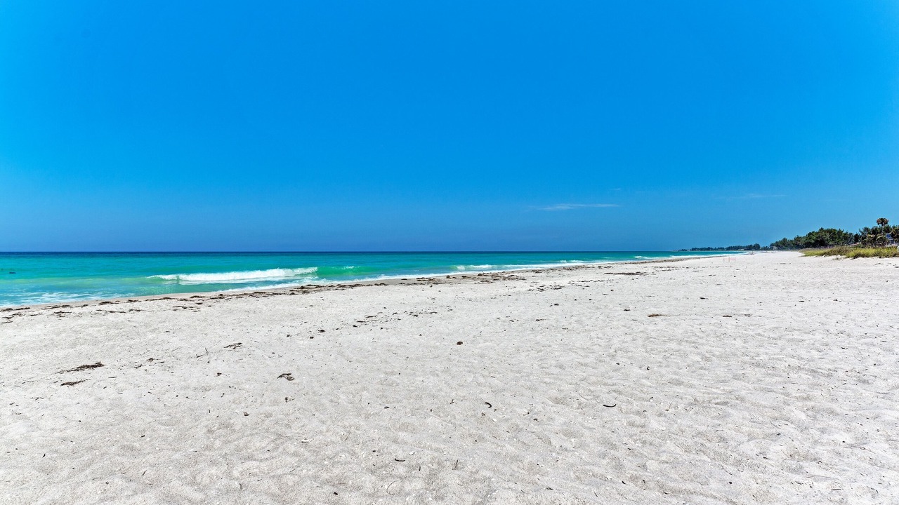 Photo of Others in Longboat Key