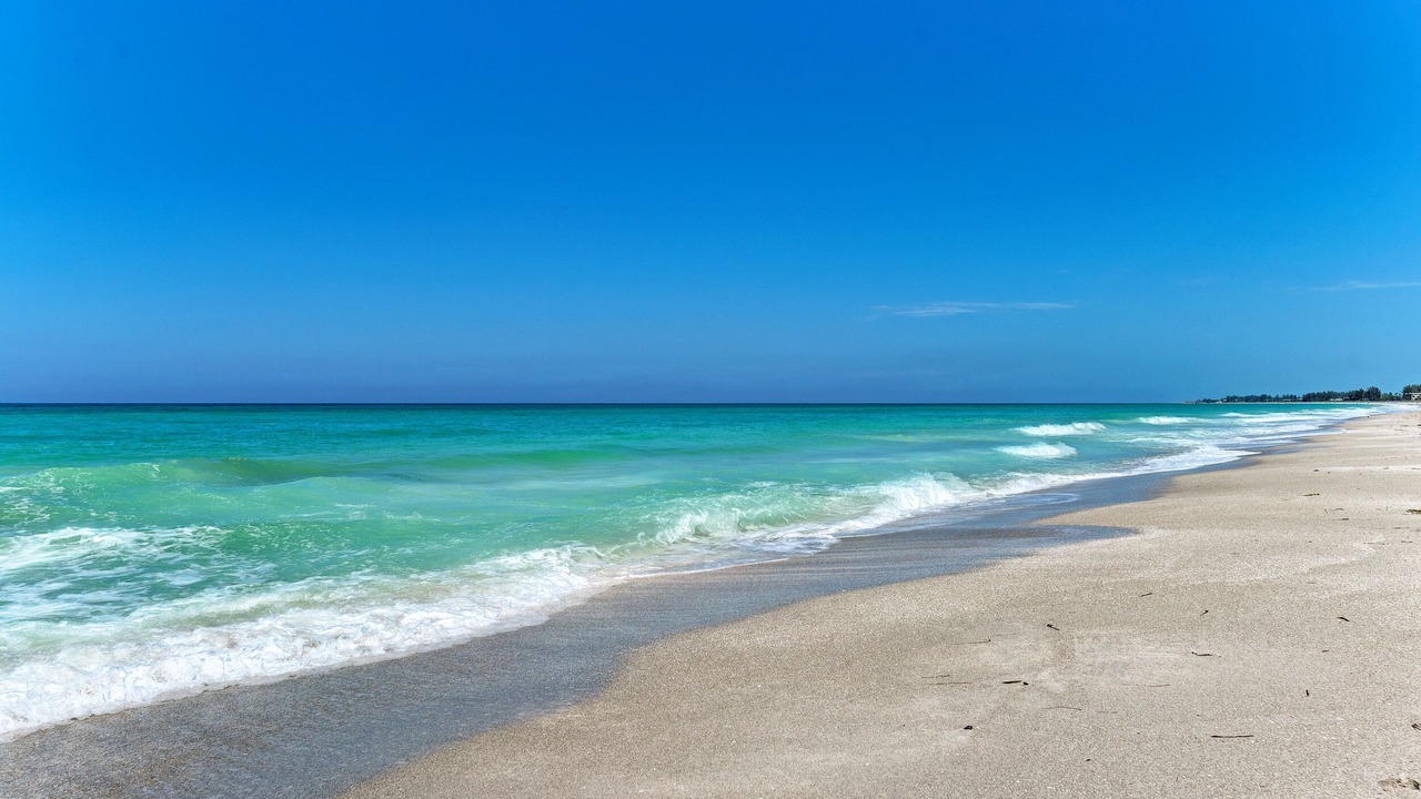 Photo of Others in Longboat Key