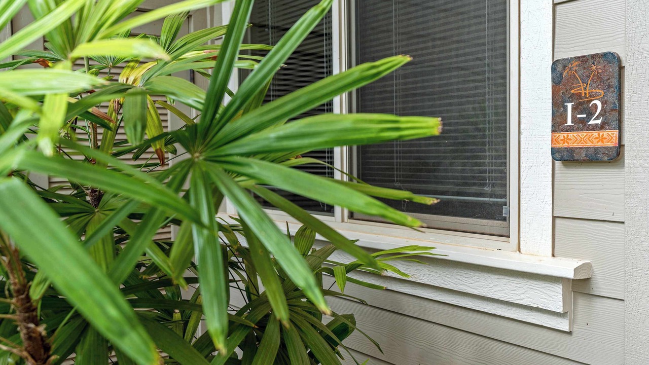 Photo of Outdoor in Kamuela