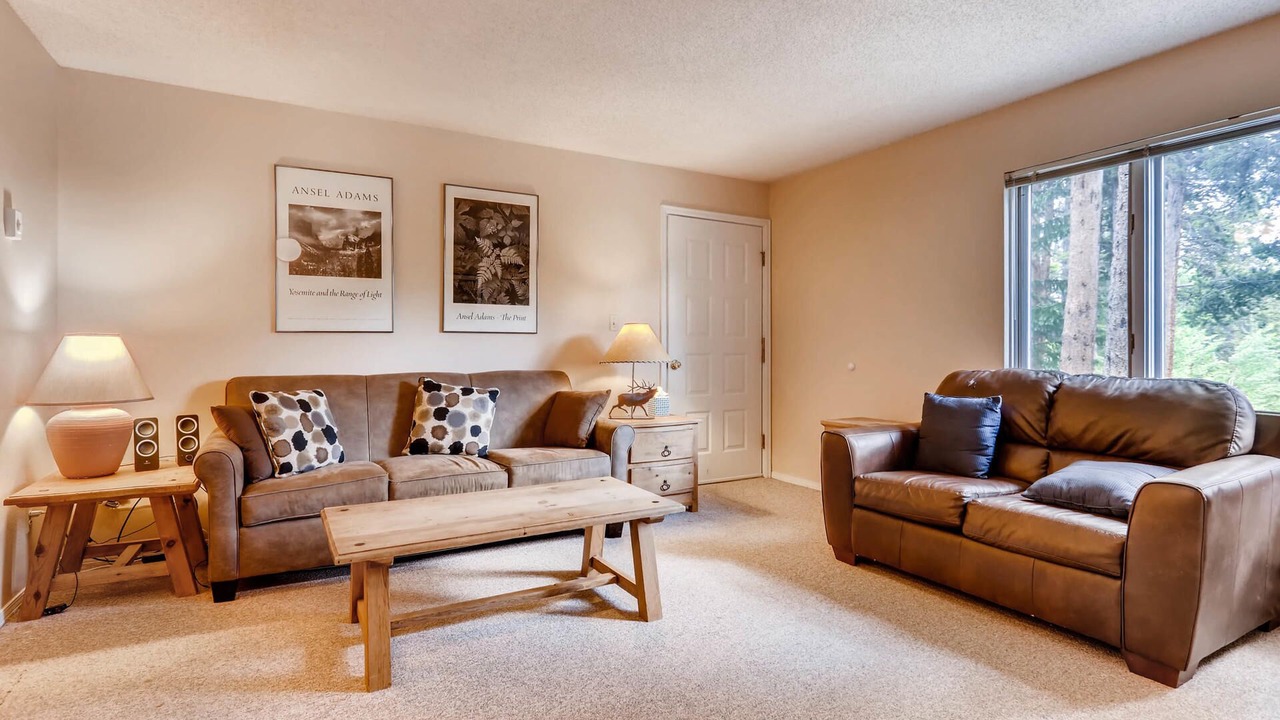 Photo of Livingroom in Peak 8