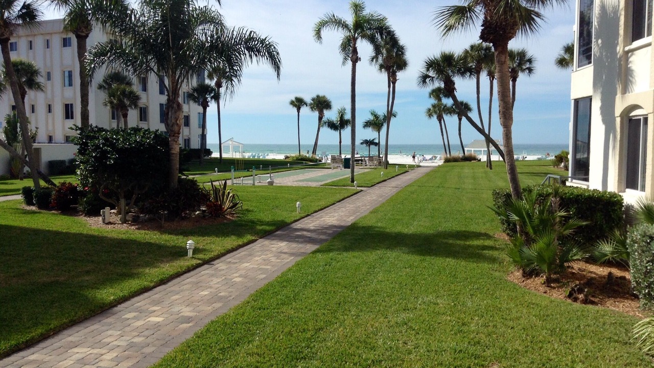 Photo of Others in Siesta Key
