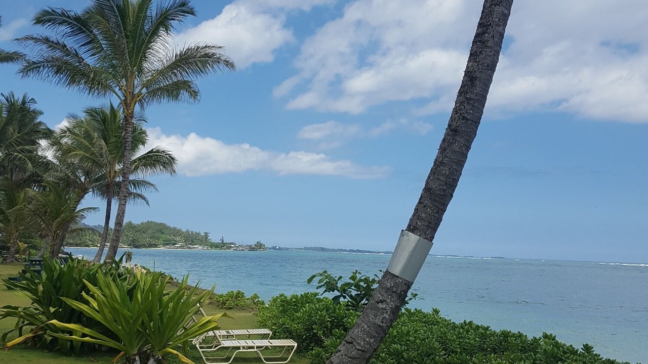 Photo of Outdoor in Punaluu