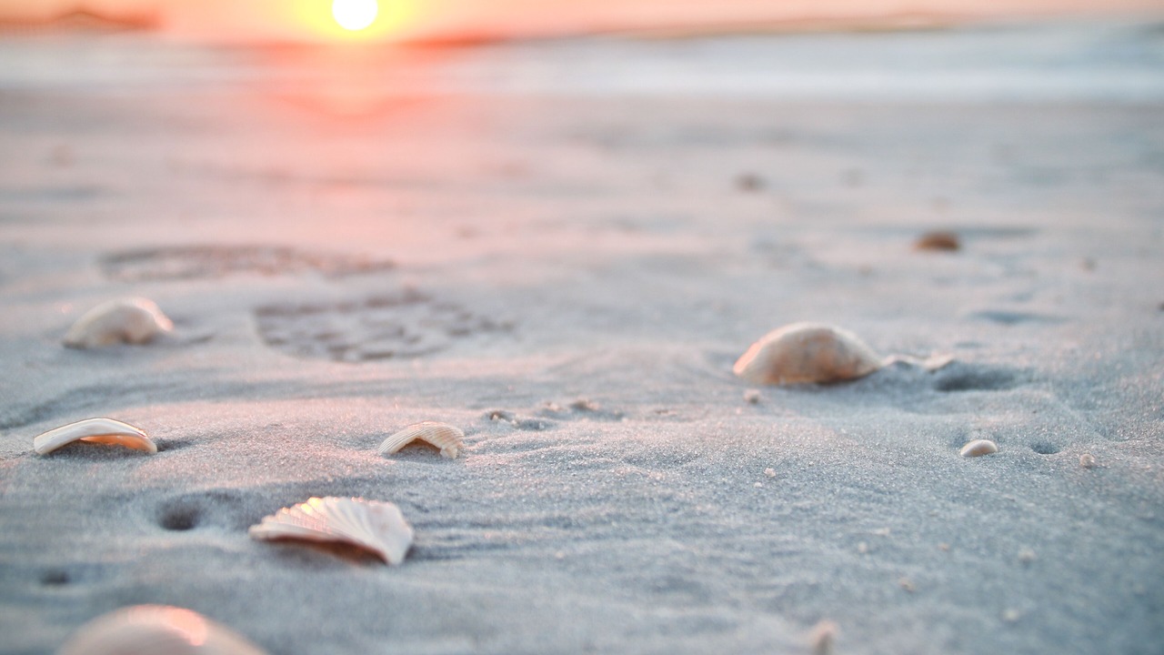 Photo of Others in Myrtle Beach