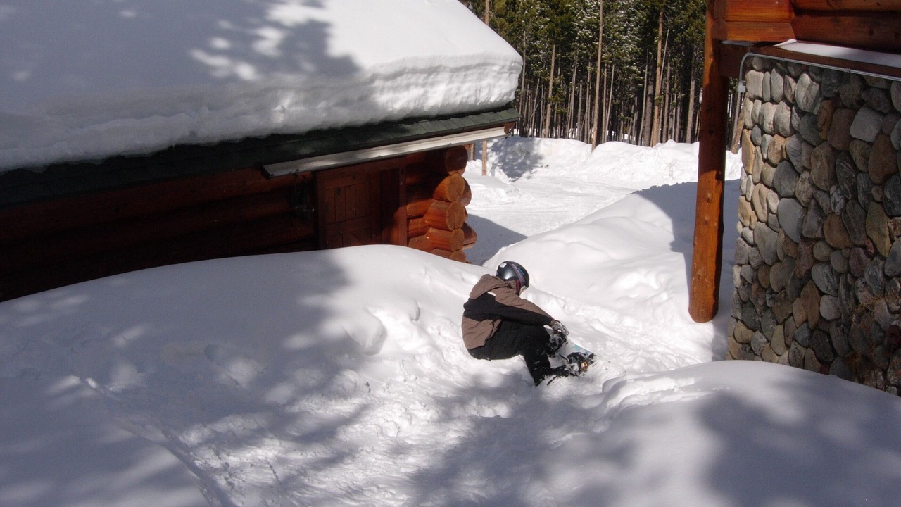 Photo of Others in Timber Trail