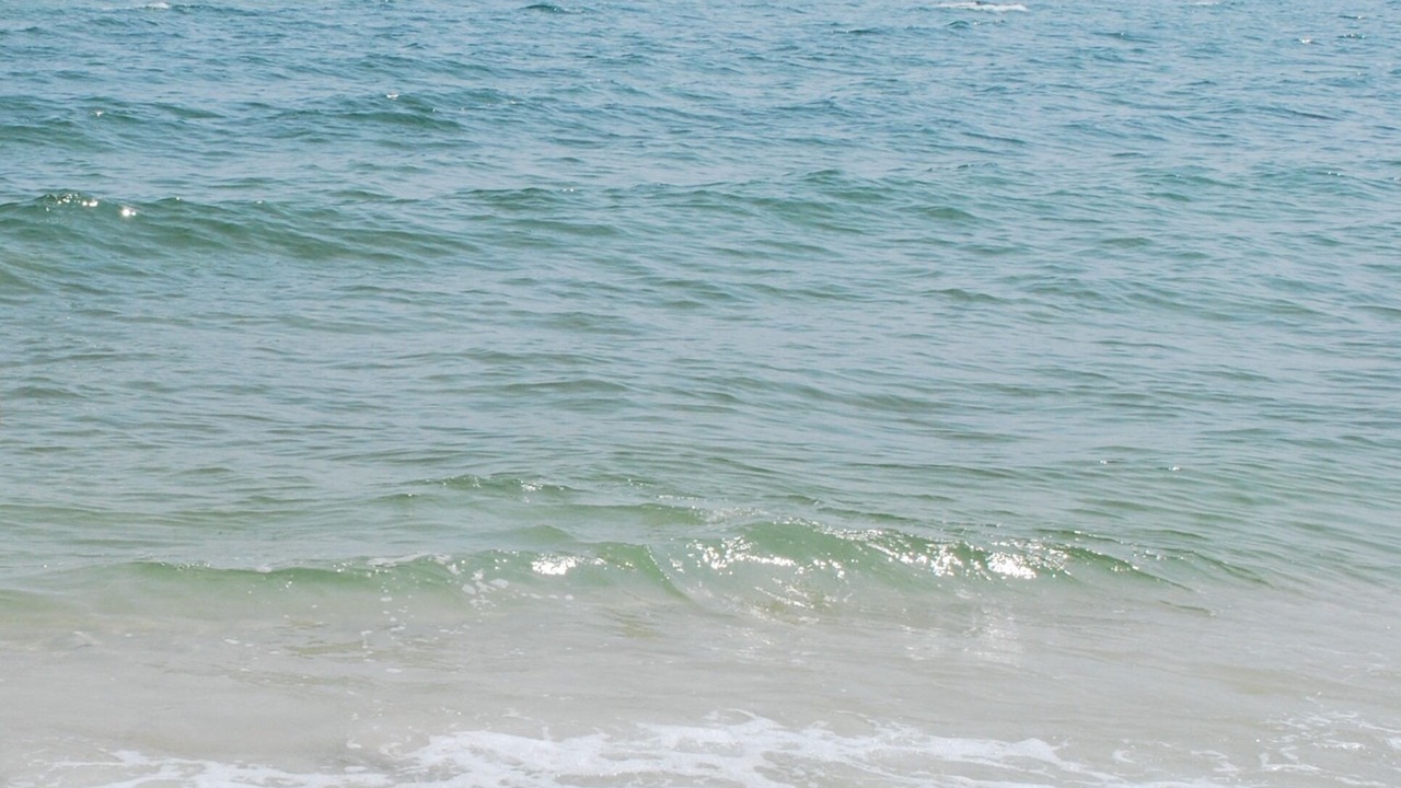 Photo of Others in Holden Beach