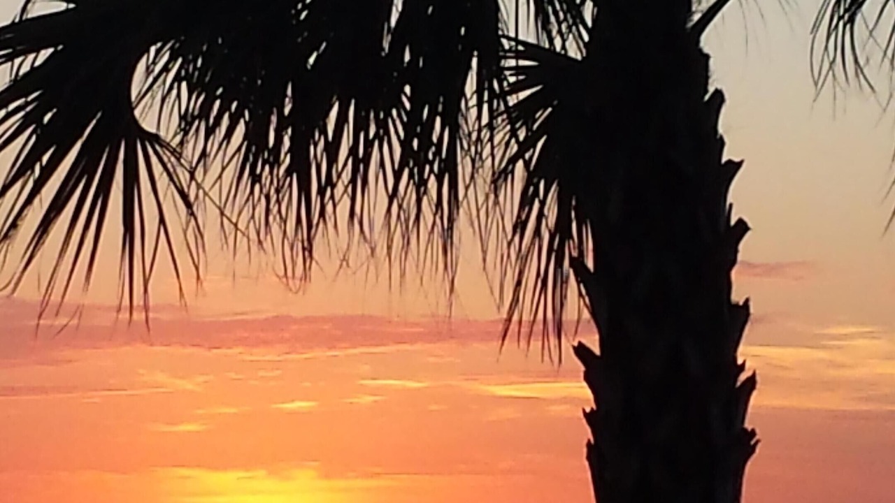 Photo of Others in Sunset Beach