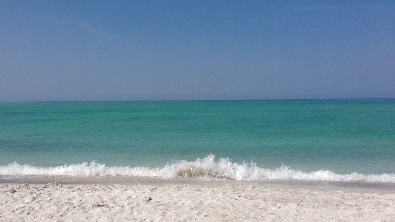 Photo of Others in Siesta Key