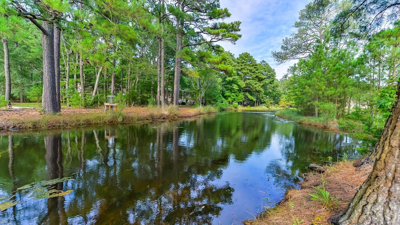 Photo of Outdoor in Bethany Beach