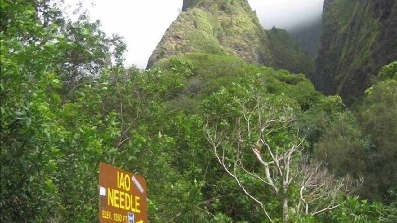 Photo of Others in Wailea