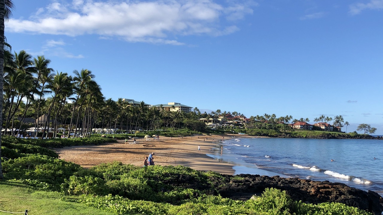 Photo of Others in Wailea