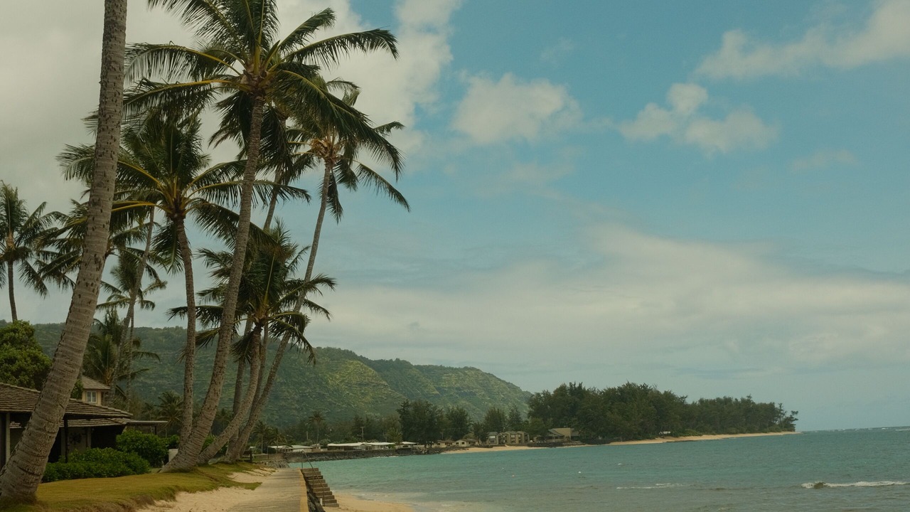 Photo of Others in Waialua
