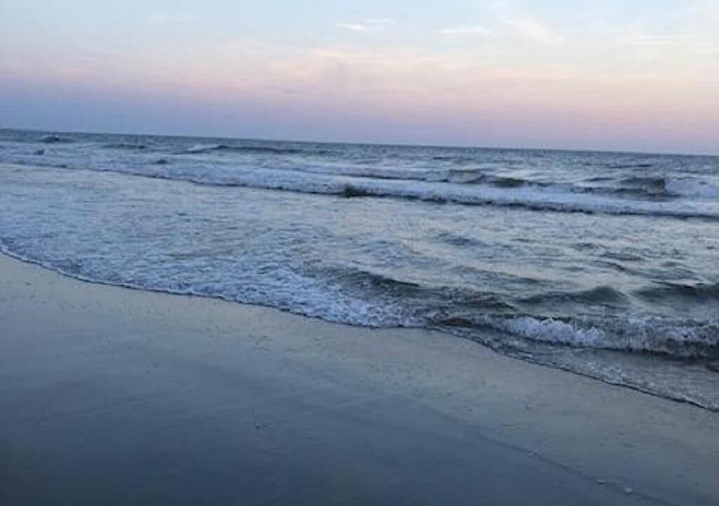 Photo of Others in Arcadian Shores